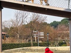 -无锡动物园·太湖欢乐园