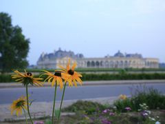 _MG_8478-北京拉斐特城堡酒店