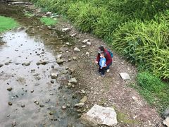 -龙头寺公园