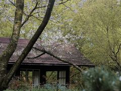 -中国茶叶博物馆(双峰馆区)