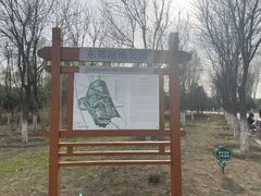 -东郊湿地公园