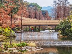 -云溪植物园