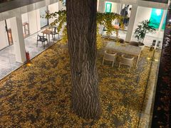 -自如ZSPACE四合院艺术餐厅