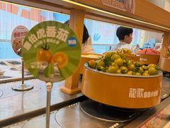 -龍歌自助小火锅(漳州二路爱购店)