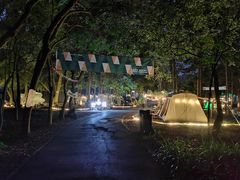 -南宁良凤江国家森林公园