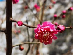 -北京明城墙遗址公园