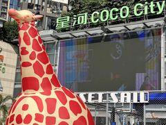 -深圳龙华星河COCO City(民治店)