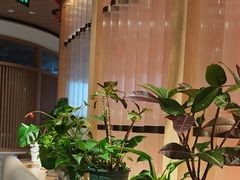 -云海肴·汽锅鸡·云南菜(浦江欢乐颂店)