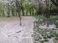-大望京公园