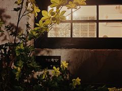 -Sirena海妖日咖夜酒