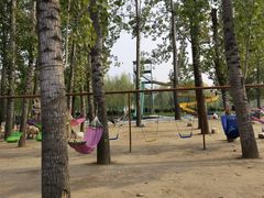 -东方巨龟苑景区