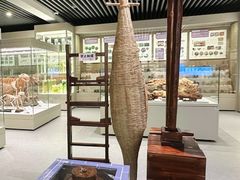 -北京中医药大学-中医药博物馆