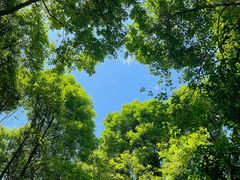 -桤木河湿地公园