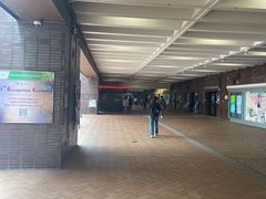 -香港大学