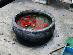 -旺顺阁鱼头泡饼(小红门店)