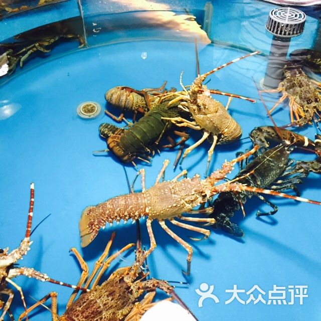 舜和海鲜(舜和国际店)图片 - 第216张