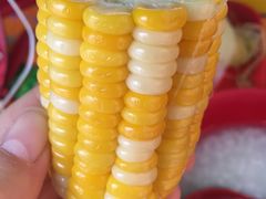 -光明刘冰乳鸽店(光明法政北路店)