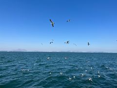 -大连海昌东方水城
