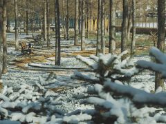 -黑龙江中医药大学