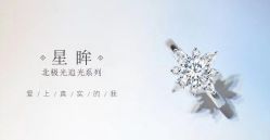 -Zbird钻石小鸟·钻戒婚戒定制高端珠宝私人定制中心