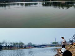 -东郊湿地公园