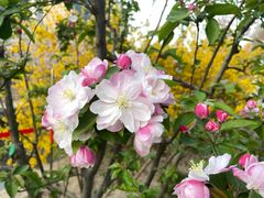 -元大都城垣遗址公园