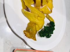 -南枝记