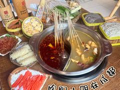 -欧阳小姐在成都(鼓楼店)