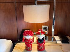 -广州白天鹅宾馆