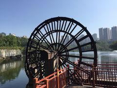 -重庆彩云湖湿地公园