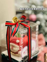 -巍阁月子中心(国贸店)