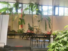 -单家老院·院子里的青岛菜(沙子口店)