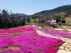 -棒棰岛宾馆景区
