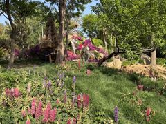 -沂蒙云瀑洞天景区
