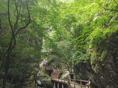 -牛背梁国家森林公园
