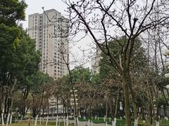 -重庆市江北嘴中央商务区中央公园