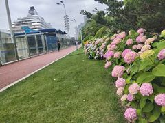 -北外滩滨江绿地