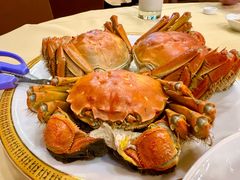 -王宝和酒家(黄浦店)