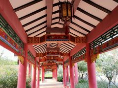 -顺峰山公园