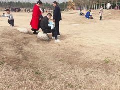 -武汉紫薇都市田园