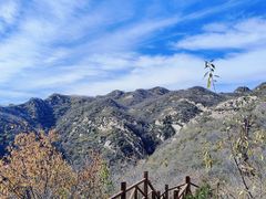 -大岭沟猕猴桃谷风景区