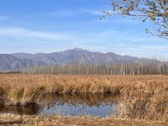 -野鸭湖国家湿地公园