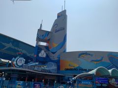 -海合安青岛极地海洋公园