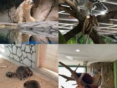-海合安武汉极地海洋公园