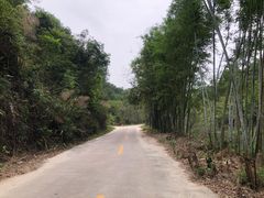 -红山村