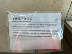 -盐城丹顶鹤湿地生态旅游区
