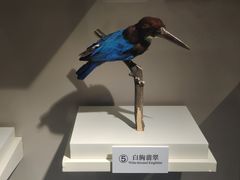 -大连自然博物馆