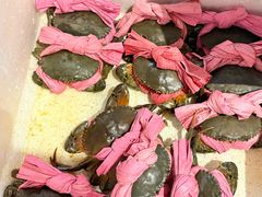 -不炭白烧烤(成都首店)