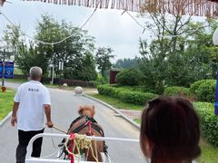 -扁鹊湖阿尔卡迪亚国际度假酒店
