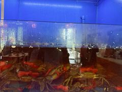 -阿尔法海鲜排档(爱琴海店)